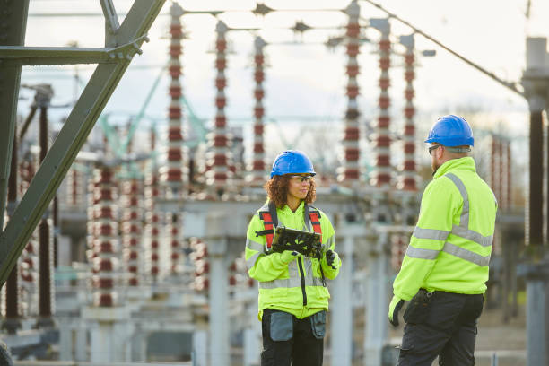 Best Electric Panel Repair  in Meridian Village, CO
