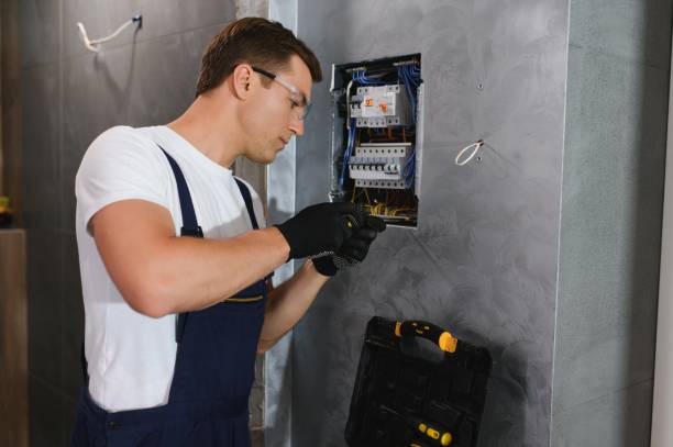 Best Electrician for Home Renovation  in Meridian Village, CO