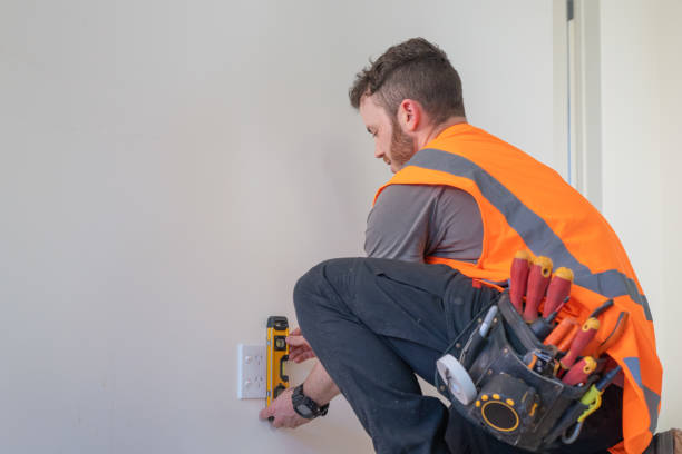 Best Local Electrician Companies  in Meridian Village, CO